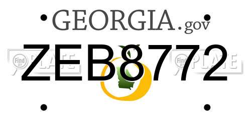 ZEB8772 Georgia License Plate