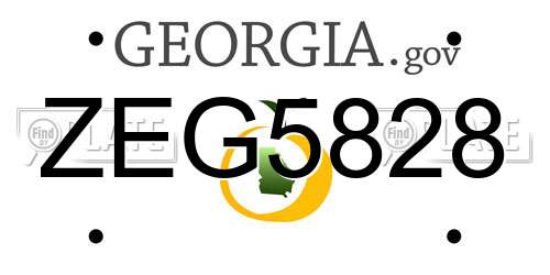 ZEG5828 Georgia License Plate