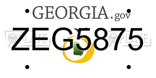 ZEG5875 Georgia License Plate