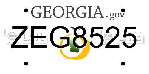 ZEG8525 Georgia License Plate