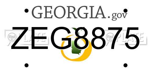 ZEG8875 Georgia License Plate