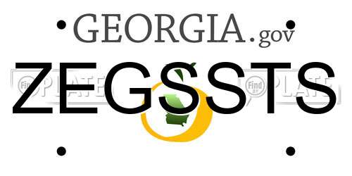 ZEGSSTS Georgia License Plate