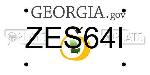 ZES64I Georgia License Plate