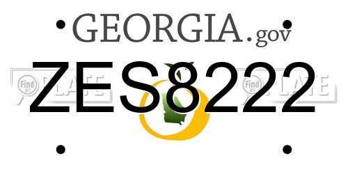 ZES8222 Georgia License Plate