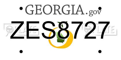 ZES8727 Georgia License Plate