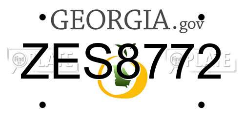 ZES8772 Georgia License Plate