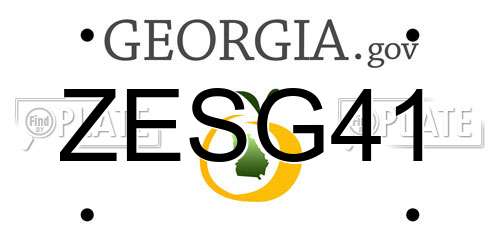 ZESG41 Georgia License Plate