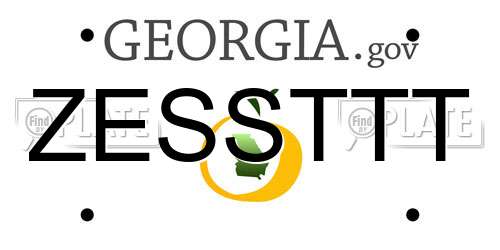 ZESSTTT Georgia License Plate