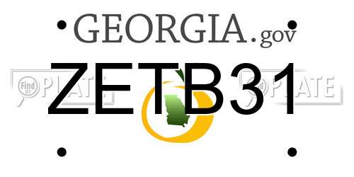 ZETB31 Georgia License Plate