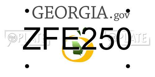 ZFE250 Georgia License Plate