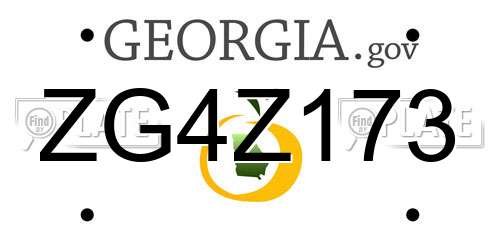 ZG4Z173 Georgia License Plate