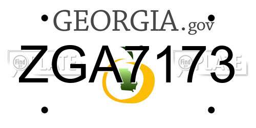 ZGA7173 Georgia License Plate