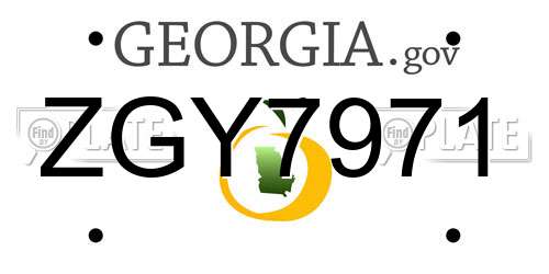 ZGY7971 Georgia License Plate
