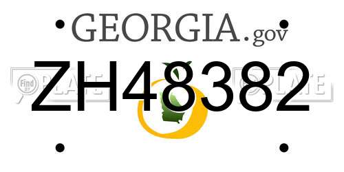 ZH48382 Georgia License Plate
