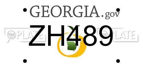 ZH489 Georgia License Plate