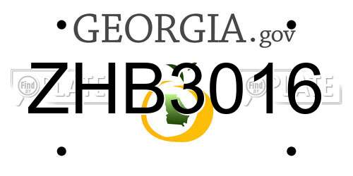 ZHB3016 Georgia License Plate