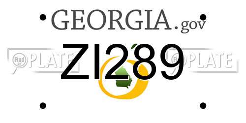 ZI289 Georgia License Plate