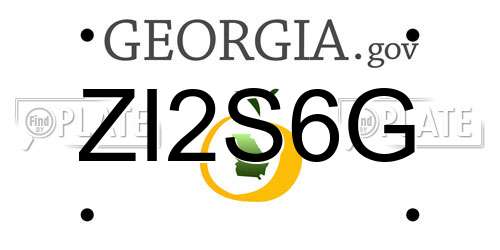 ZI2S6G Georgia License Plate