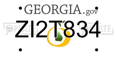ZI2T834 Georgia License Plate