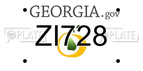ZI728 Georgia License Plate