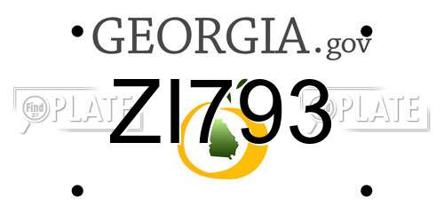 ZI793 Georgia License Plate