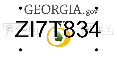 ZI7T834 Georgia License Plate