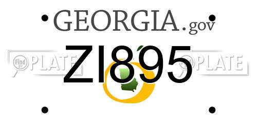 ZI895 Georgia License Plate