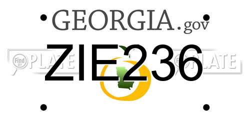 ZIE236 Georgia License Plate