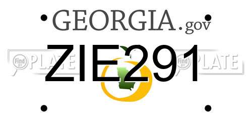 ZIE291 Georgia License Plate