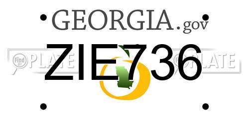 ZIE736 Georgia License Plate