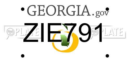 ZIE791 Georgia License Plate