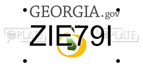 ZIE79I Georgia License Plate