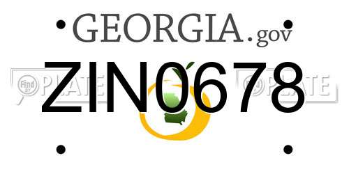 ZIN0678 Georgia License Plate
