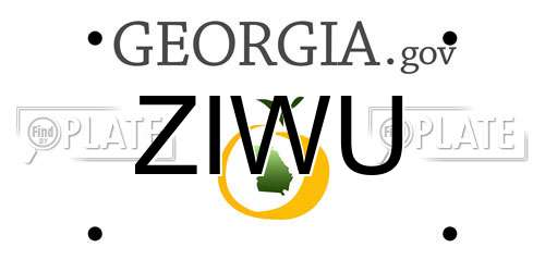ZIWU Georgia License Plate