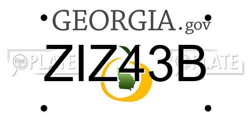 ZIZ43B Georgia License Plate