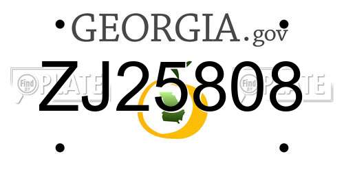 ZJ25808 Georgia License Plate