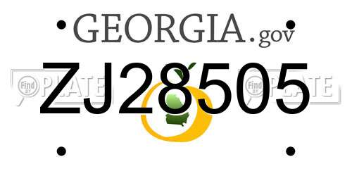 ZJ28505 Georgia License Plate