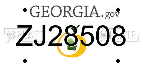 ZJ28508 Georgia License Plate