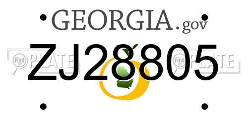 ZJ28805 Georgia License Plate