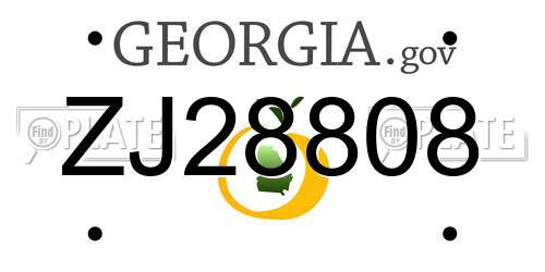 ZJ28808 Georgia License Plate