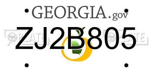 ZJ2B805 Georgia License Plate