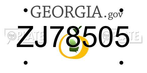 ZJ78505 Georgia License Plate