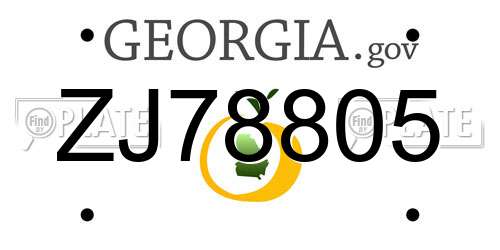 ZJ78805 Georgia License Plate
