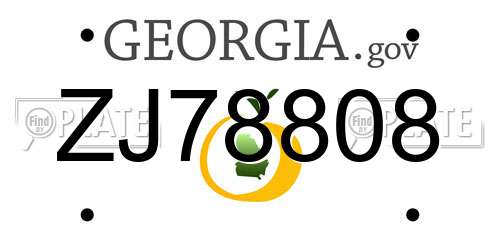ZJ78808 Georgia License Plate