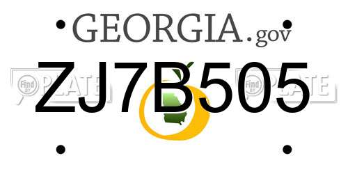 ZJ7B505 Georgia License Plate