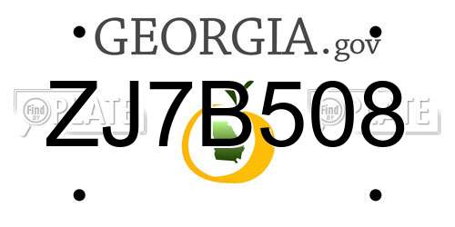 ZJ7B508 Georgia License Plate