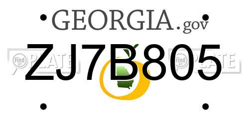 ZJ7B805 Georgia License Plate