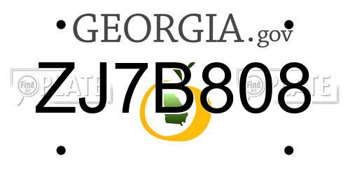 ZJ7B808 Georgia License Plate
