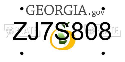ZJ7S808 Georgia License Plate
