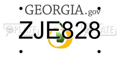 ZJE828 Georgia License Plate